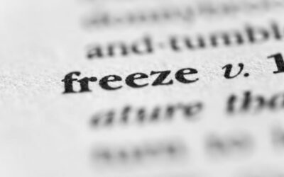 Protect your plants from cold