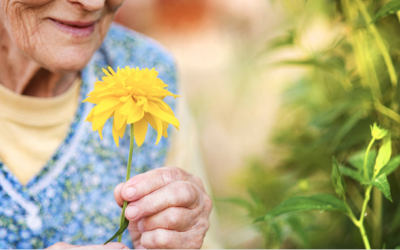 Better Than Your Grandma’s Herb Box