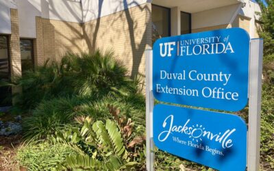 Soil Testing In Northeast Florida