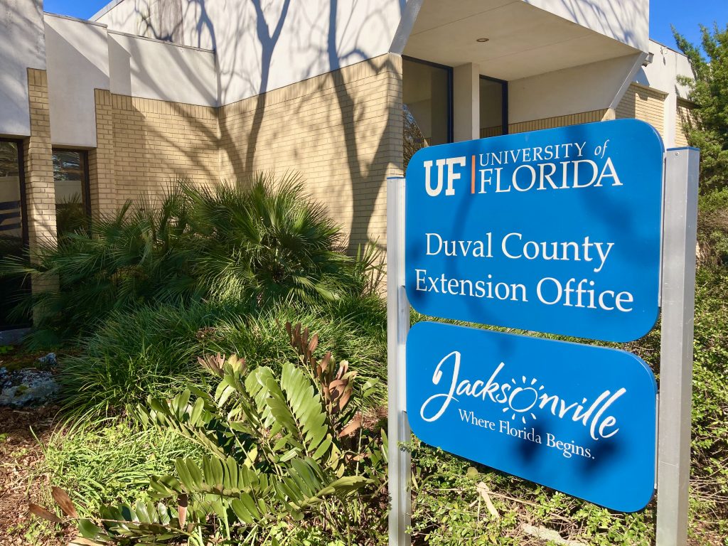 Soil Testing In Northeast Florida