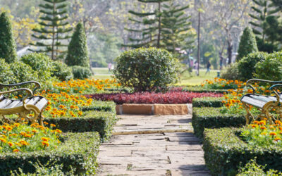 Pruning Tips for Northeast Florida Landscapes