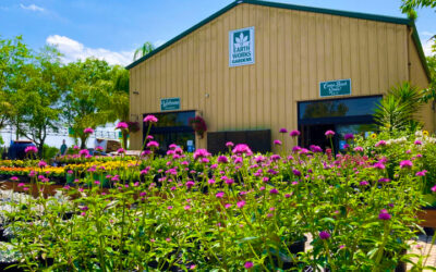 May Lawn And Garden Tips 2021