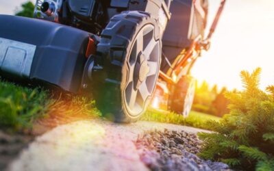 June Lawn and Garden Tips 2021