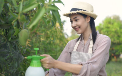 Summer Brings Mosquitos, Chinch Bugs, and Fungus