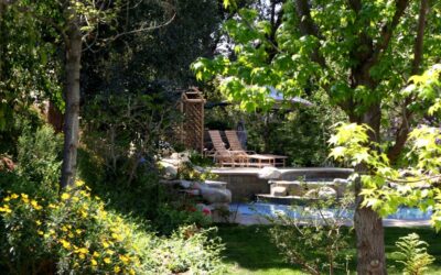 July Lawn And Garden Tips 2021