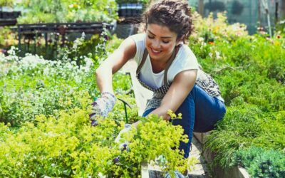 August Lawn & Garden Tips 2021