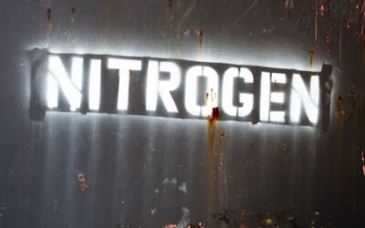 Nitrogen Cycle Basics for Pond Owners