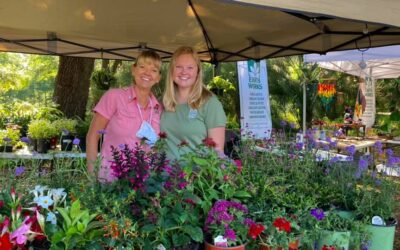 Earth Works at Jacksonville Arboretum & Botanical Gardens