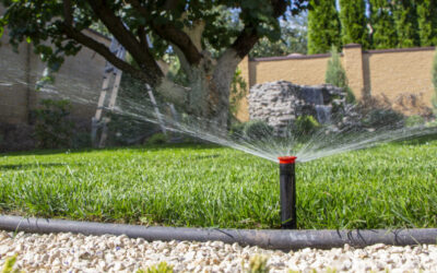 October Lawn and Garden Tips 2021