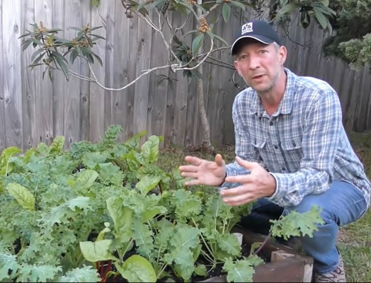 fall vegetable gardening