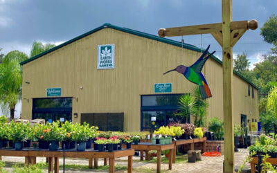 November Lawn & Garden Tips 2021