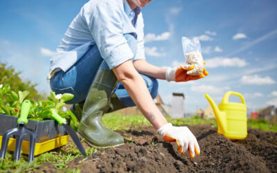 60+ FREE Seed Catalogs