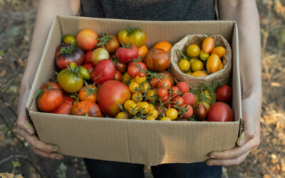 Growing Heirloom Vegetables, Seed Saving, and Exchange