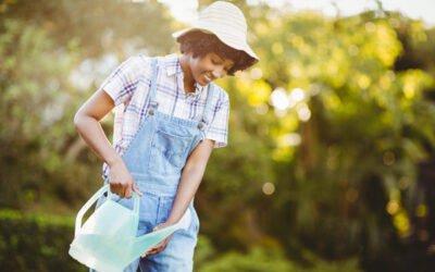 New Landscape Watering Tips