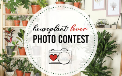 Houseplant Lover Photo Contest 2022