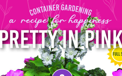 February Container Gardening Recipe 2022