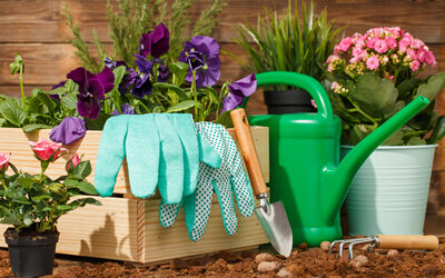 Northeast Florida Spring Lawn and Garden Checklist