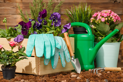Garden gloves with trowel and watering can