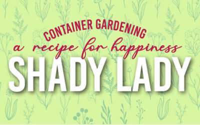 May Container Gardening Recipe 2022