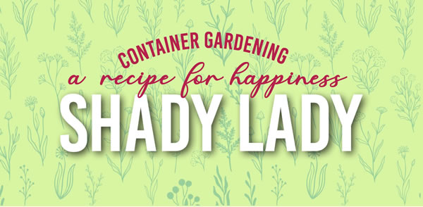 May Container Gardening Recipe cover image