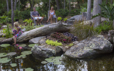 Why Freeze After Warm Days Are Bad For Landscape