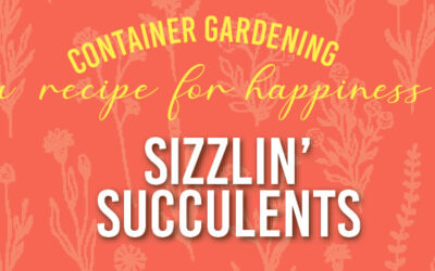 July Container Gardening Recipe 2022