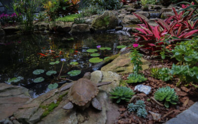 August Gardening Tips