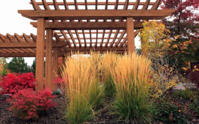 October Gardening Tips For Florida