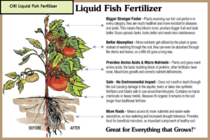 liquid fish fertilizer benefits