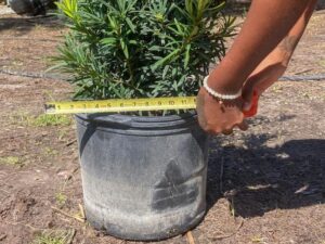 Measuring the size of your pot for hole size