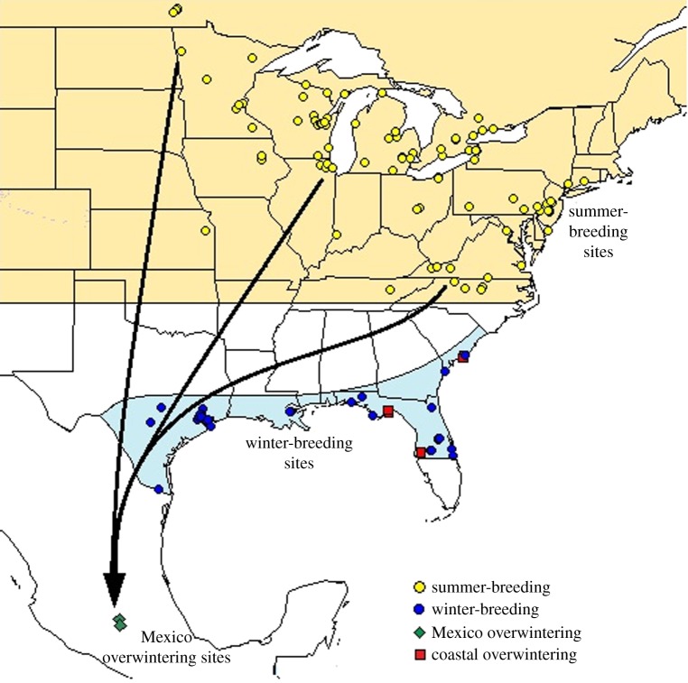 overwintering locations for monarchs in north america