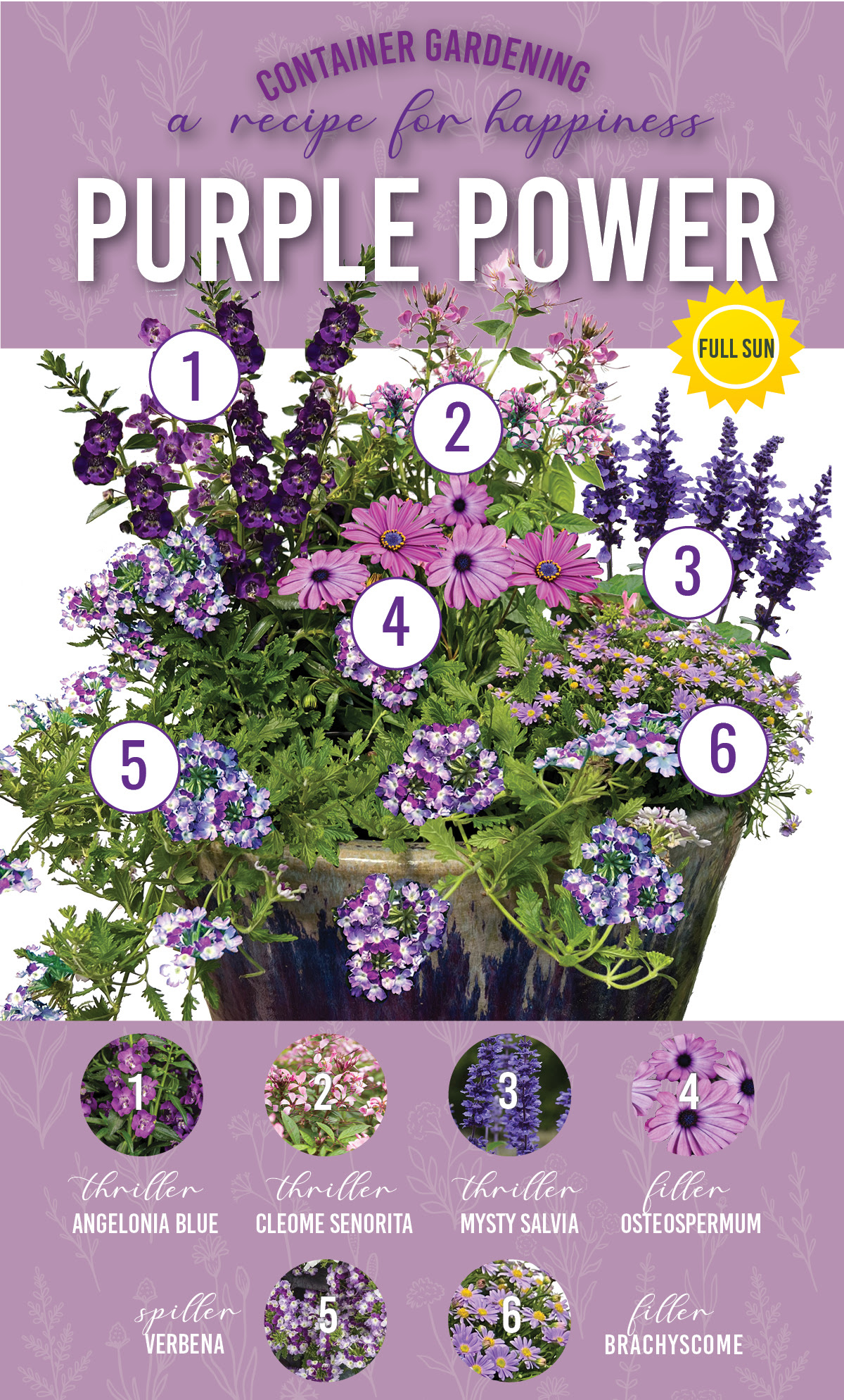 Purple Power Container Garden Recipe Purple Power Container Garden Recipe