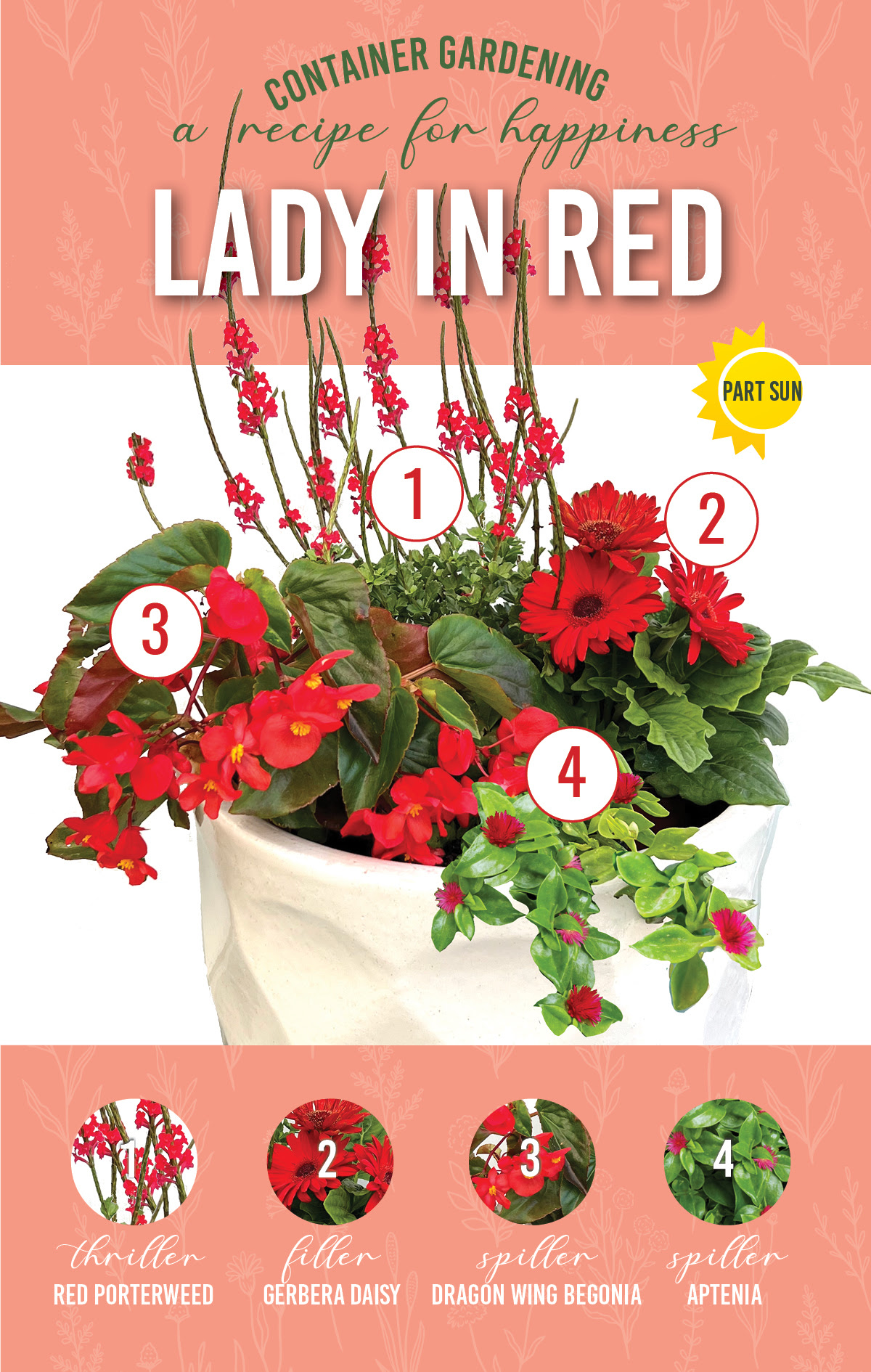 Lady In Red Container garden recipe April 2023
