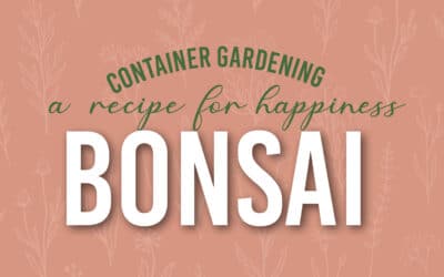 May Container Gardening Recipe 2023