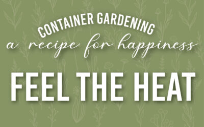 August Container Gardening Recipe 2023
