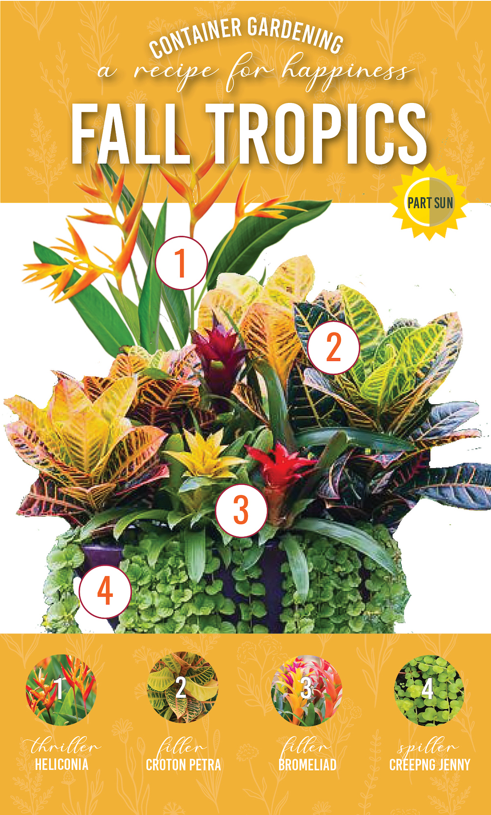 Fall Tropics Container Garden Recipe