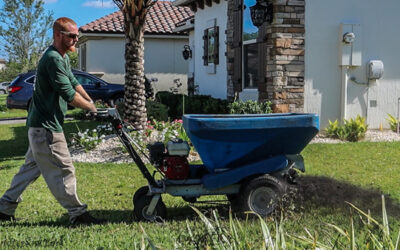 Organic Top Dressing Lawns Benefits