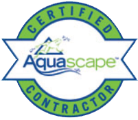 aquascape