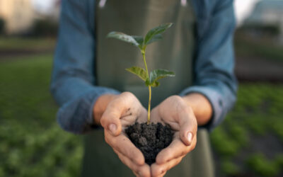 Organic Fertilizers Benefits Over Synthetics