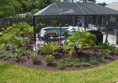 Jacksonville front backyard landscaping around pool 2