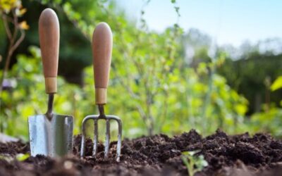 Fall Landscaping Advantages