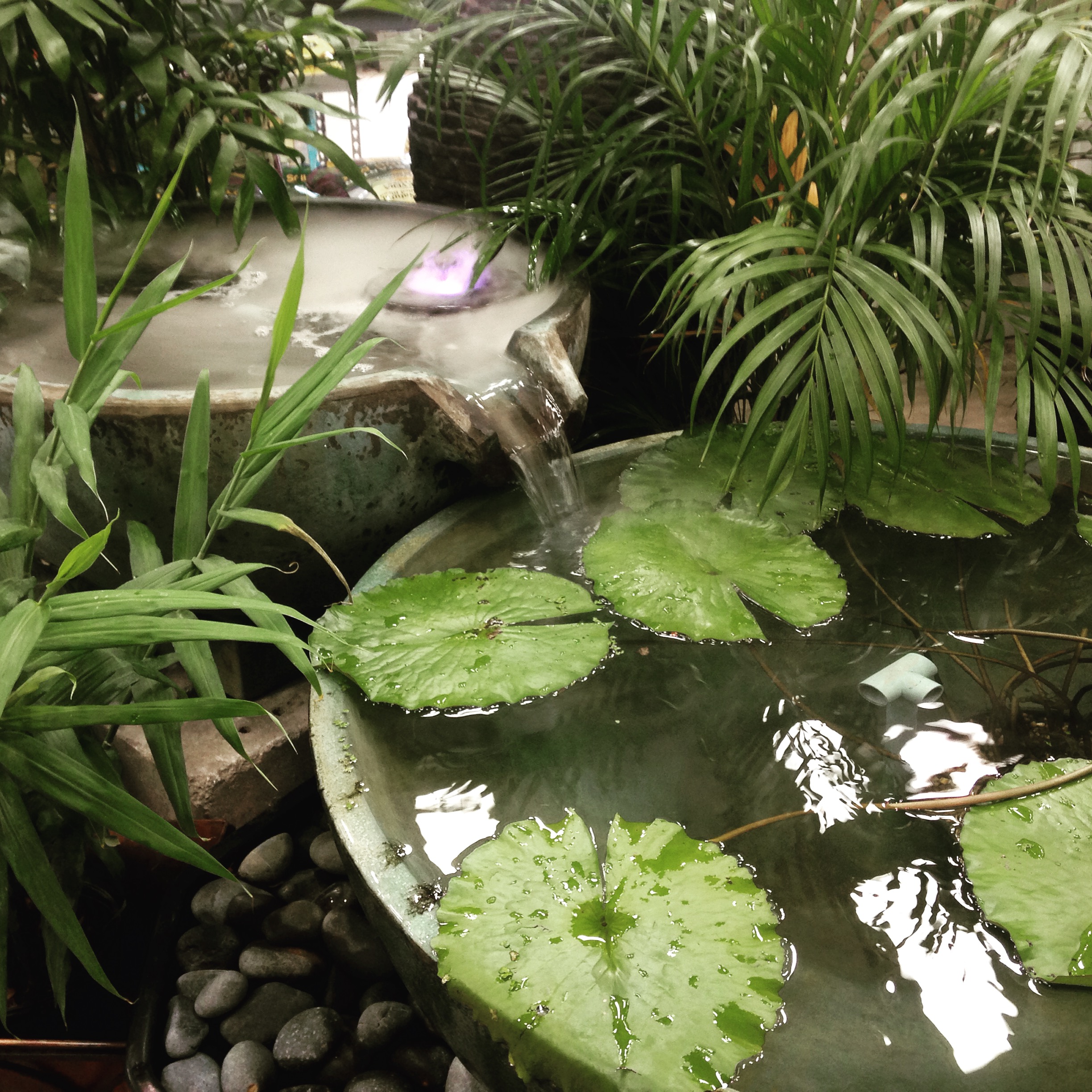 Spillway Bowls with waterlily pads