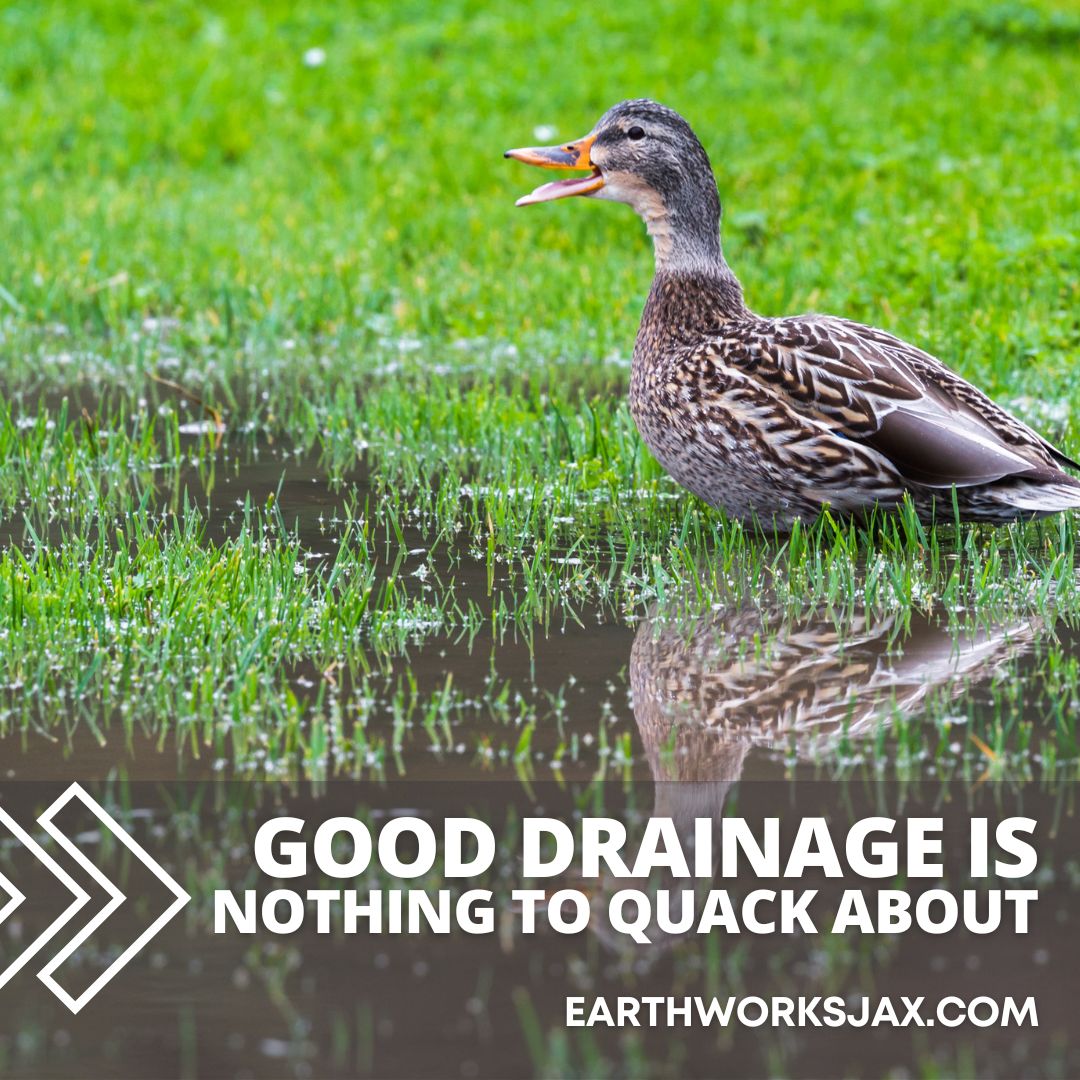 Good drainage is nothing to quack about