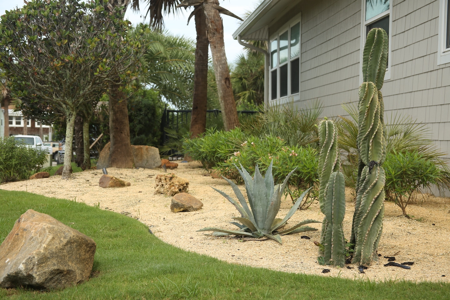 xeric beach landscape cactus and rocks xeric beach landscape cactus and rocks