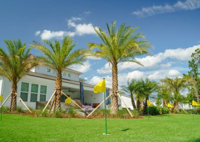 Synthetic turf with and palms landscape