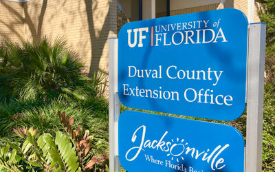 Soil Testing In Northeast Florida