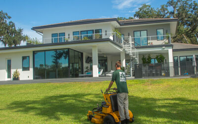 Turf Grass Options for Northeast Florida