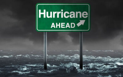 Hurricane Season Landscape Preparation