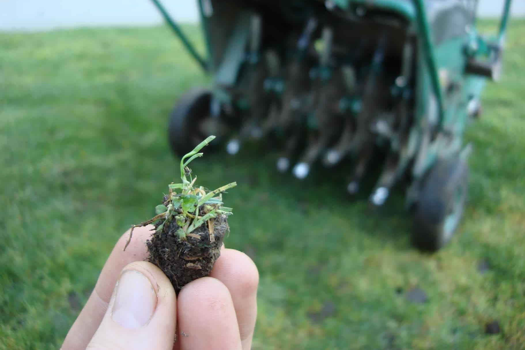lawn aeration