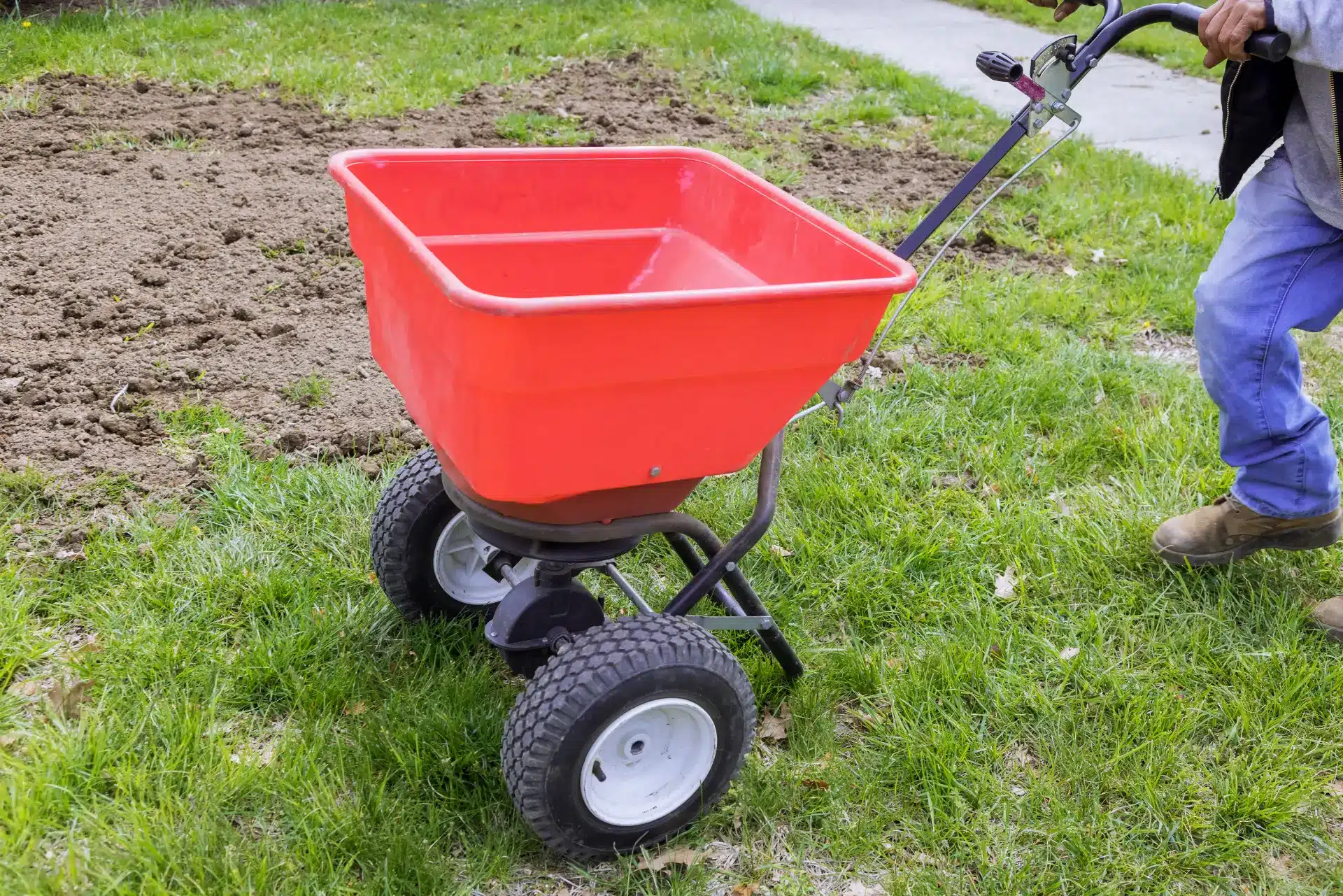Lawn care technician pushing a broadcast spreader to apply fertilizer in Jacksonville